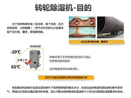 貓糧防潮秘籍，貓糧如何儲存