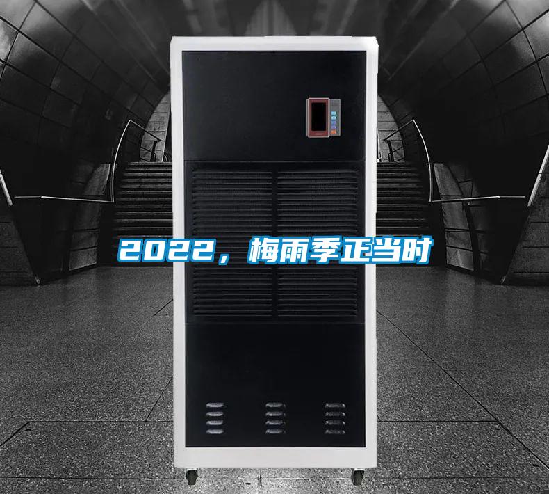 2022，梅雨季正當(dāng)時