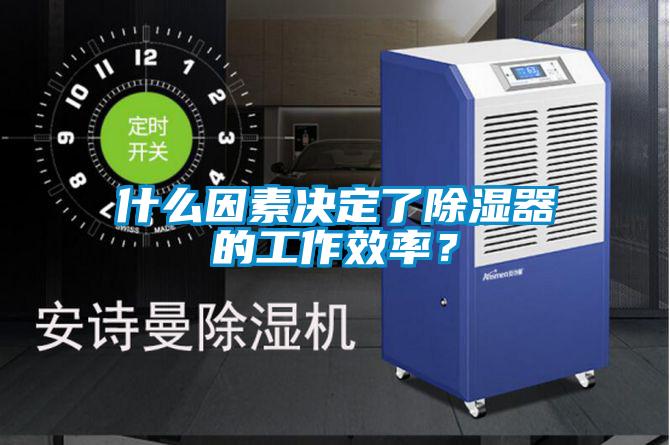 什么因素決定了除濕器的工作效率？