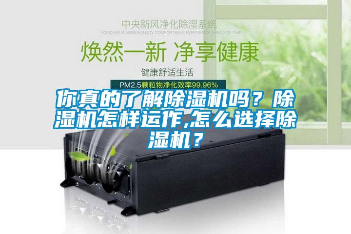 你真的了解除濕機嗎？除濕機怎樣運作,怎么選擇除濕機？