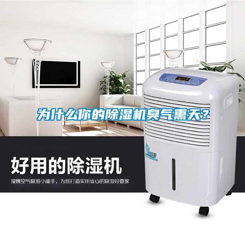 為什么你的除濕機(jī)臭氣熏天？