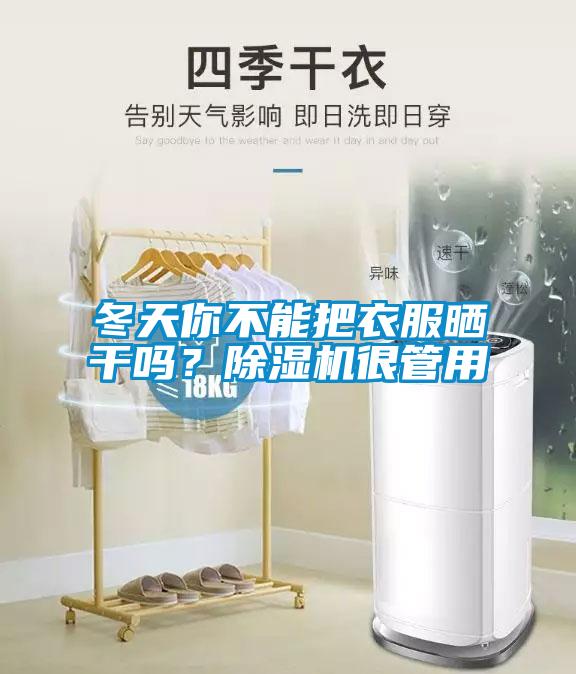 冬天你不能把衣服曬干嗎？除濕機(jī)很管用