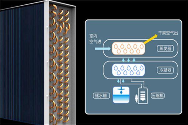 別墅為什么必須要考慮新風(fēng)除濕？