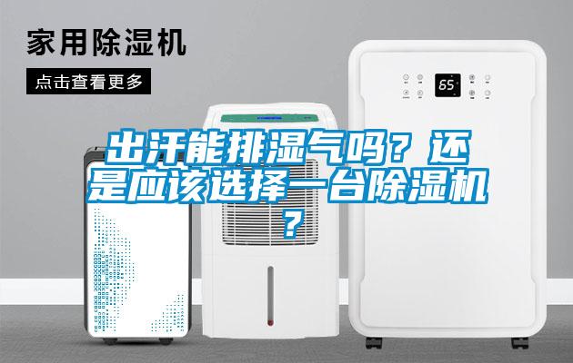 出汗能排濕氣嗎？還是應該選擇一臺除濕機？