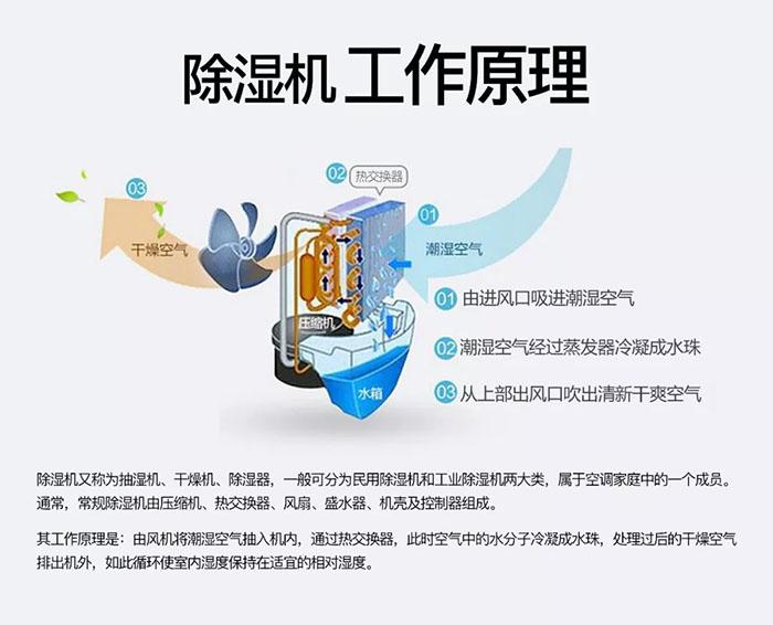 南北之爭：南方的濕冷比北方的干冷更變態(tài)？