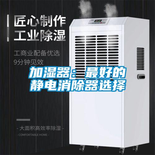 加濕器：最好的靜電消除器選擇