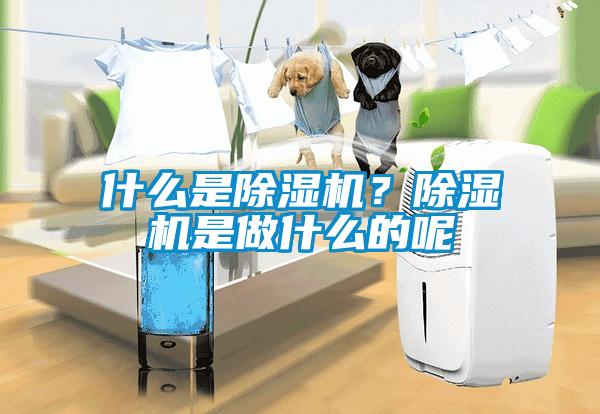 什么是除濕機？除濕機是做什么的呢