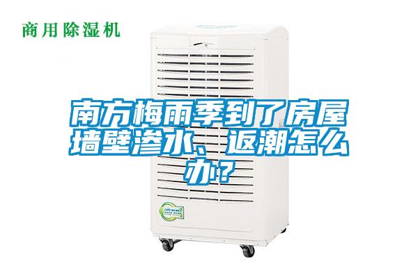 南方梅雨季到了房屋墻壁滲水、返潮怎么辦？