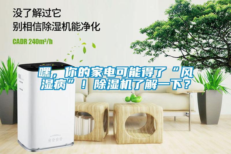 嘿，你的家電可能得了“風濕病”！除濕機了解一下？