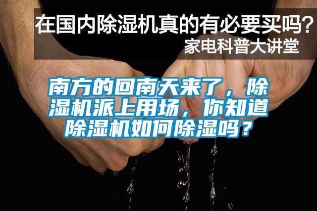 南方的回南天來了，除濕機(jī)派上用場，你知道除濕機(jī)如何除濕嗎？