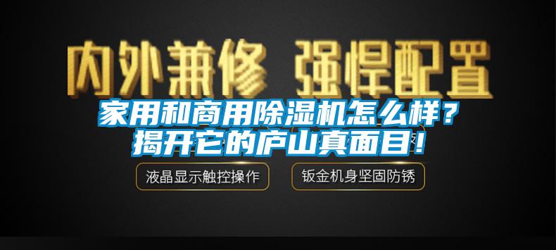 家用和商用除濕機怎么樣？揭開它的廬山真面目！