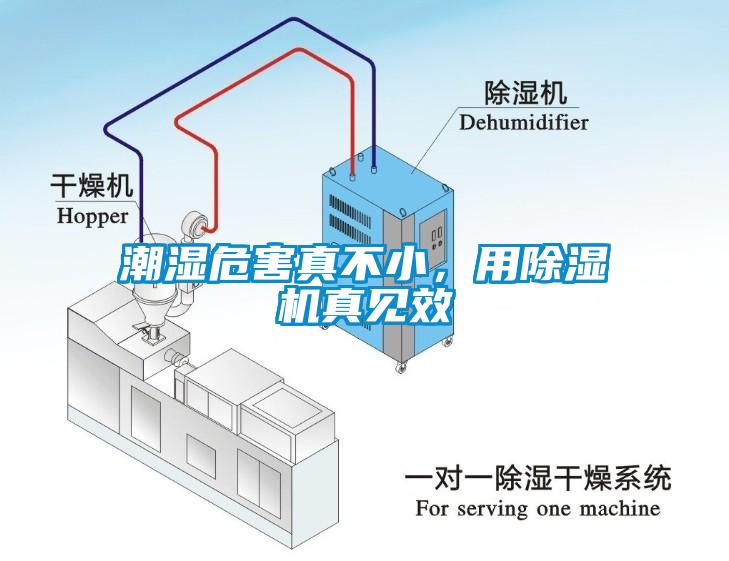 潮濕危害真不小，用除濕機(jī)真見效