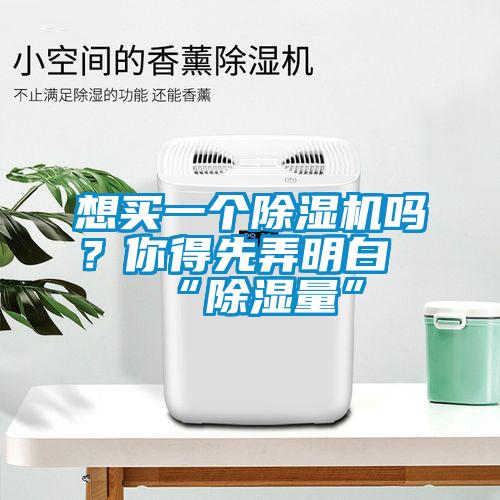 想買一個除濕機(jī)嗎？你得先弄明白“除濕量”