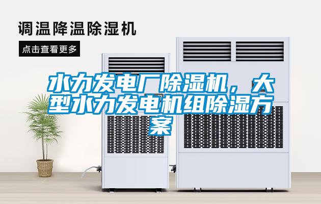 水力發(fā)電廠除濕機(jī)，大型水力發(fā)電機(jī)組除濕方案