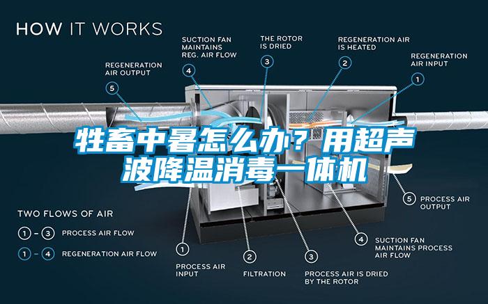 牲畜中暑怎么辦？用超聲波降溫消毒一體機(jī)