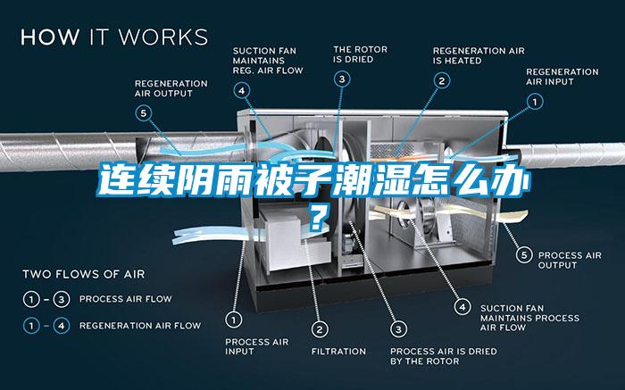 連續(xù)陰雨被子潮濕怎么辦？