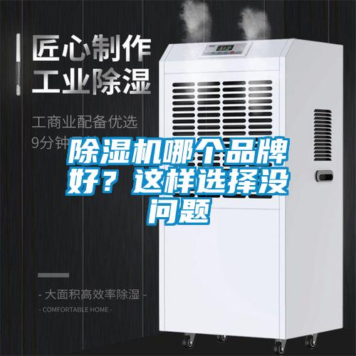 除濕機(jī)哪個(gè)品牌好？這樣選擇沒問題