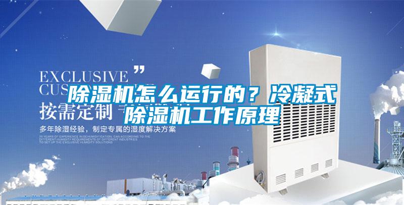 除濕機怎么運行的？冷凝式除濕機工作原理