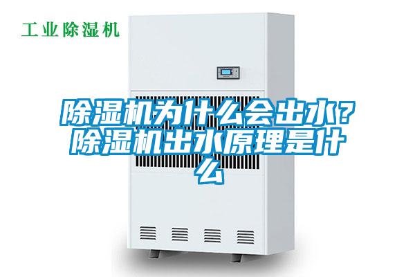 除濕機為什么會出水？除濕機出水原理是什么