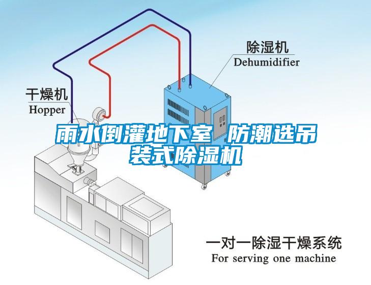 雨水倒灌地下室 防潮選吊裝式除濕機(jī)