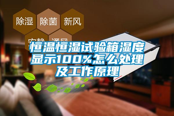 恒溫恒濕試驗(yàn)箱濕度顯示100%怎么處理及工作原理