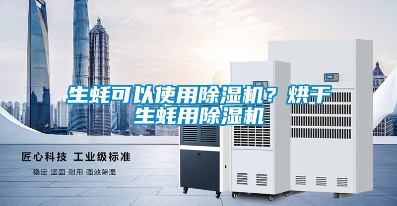 生蠔可以使用除濕機？烘干生蠔用除濕機