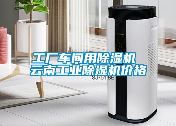 工廠車間用除濕機 云南工業(yè)除濕機價格