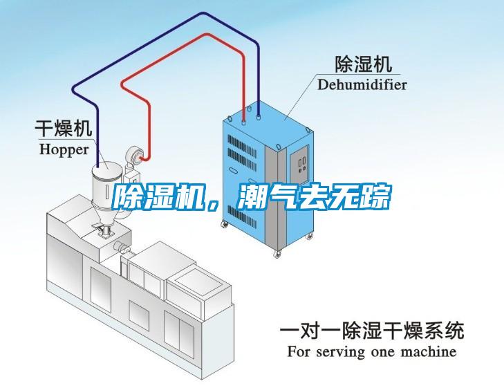 除濕機，潮氣去無蹤