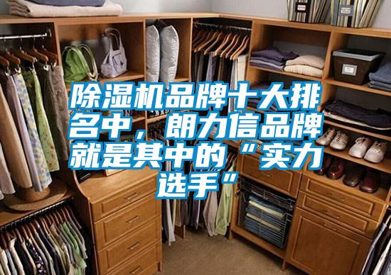 除濕機品牌十大排名中，朗力信品牌就是其中的“實力選手”