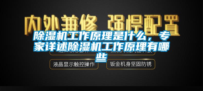 除濕機(jī)工作原理是什么，專家詳述除濕機(jī)工作原理有哪些