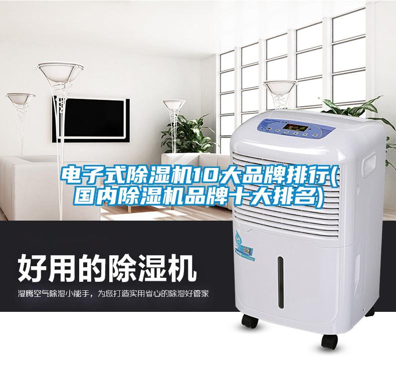 電子式除濕機10大品牌排行(國內(nèi)除濕機品牌十大排名)