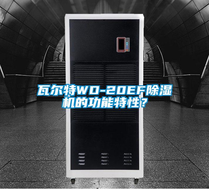 瓦爾特WD-20EF除濕機的功能特性？