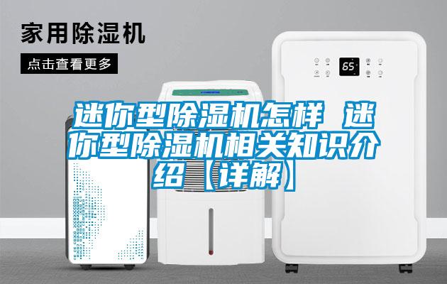 迷你型除濕機怎樣 迷你型除濕機相關(guān)知識介紹【詳解】