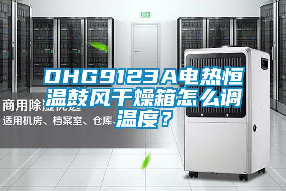 DHG9123A電熱恒溫鼓風干燥箱怎么調(diào)溫度？