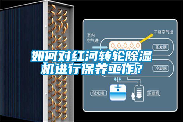 如何對紅河轉(zhuǎn)輪除濕機進行保養(yǎng)工作？