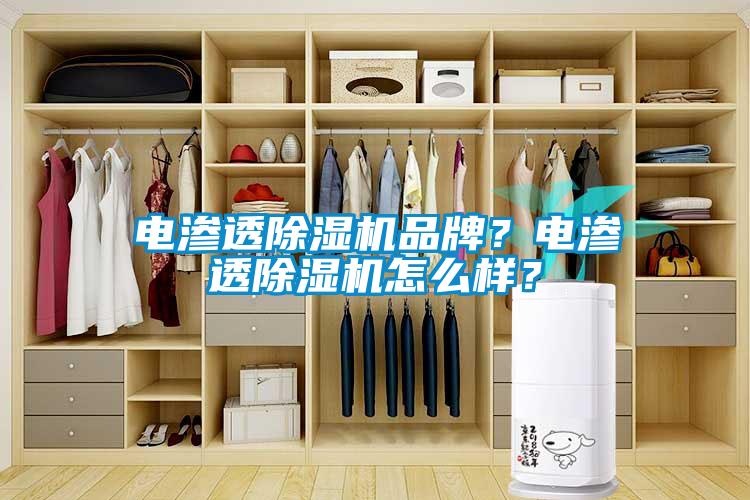 電滲透除濕機品牌？電滲透除濕機怎么樣？