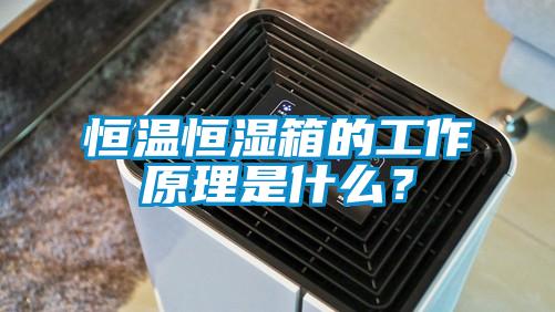 恒溫恒濕箱的工作原理是什么？