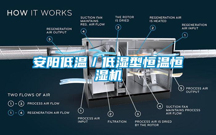 安陽低溫／低濕型恒溫恒濕機(jī)