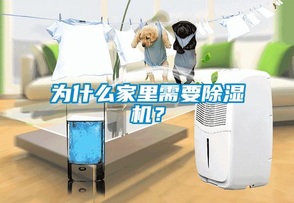 為什么家里需要除濕機(jī)？