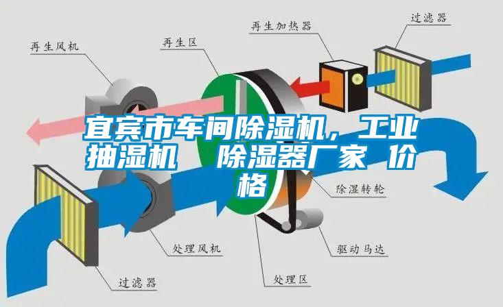 宜賓市車間除濕機，工業(yè)抽濕機  除濕器廠家 價格