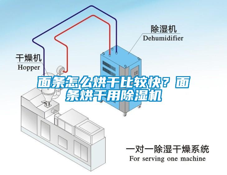 面條怎么烘干比較快？面條烘干用除濕機(jī)