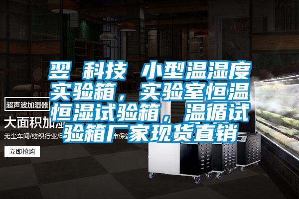 翌昇科技 小型溫濕度實驗箱，實驗室恒溫恒濕試驗箱，溫循試驗箱廠家現(xiàn)貨直銷