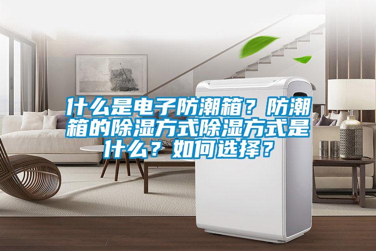 什么是電子防潮箱？防潮箱的除濕方式除濕方式是什么？如何選擇？