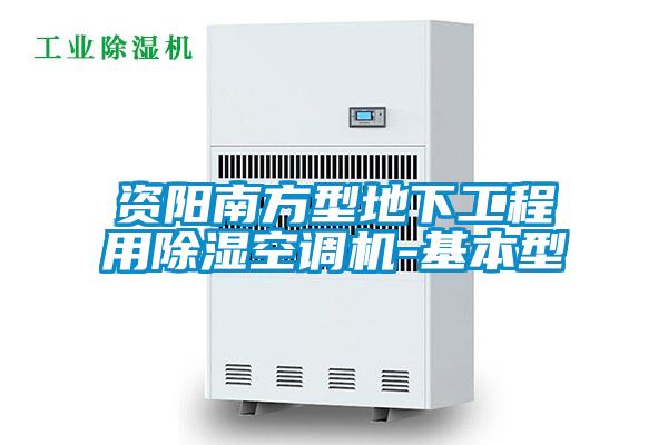 資陽南方型地下工程用除濕空調(diào)機(jī)-基本型