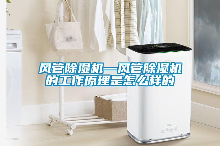 風管除濕機—風管除濕機的工作原理是怎么樣的