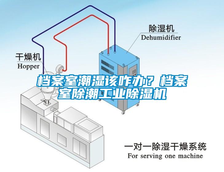 檔案室潮濕該咋辦？檔案室除潮工業(yè)除濕機(jī)