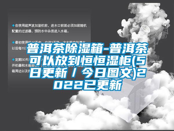 普洱茶除濕箱-普洱茶可以放到恒恒濕柜(5日更新／今日圖文)2022已更新