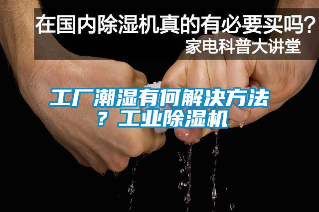 工廠潮濕有何解決方法？工業(yè)除濕機