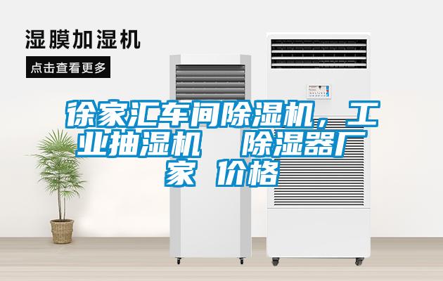 徐家匯車間除濕機，工業(yè)抽濕機  除濕器廠家 價格