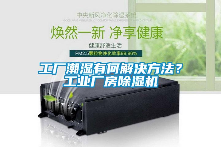 工廠潮濕有何解決方法？工業(yè)廠房除濕機(jī)